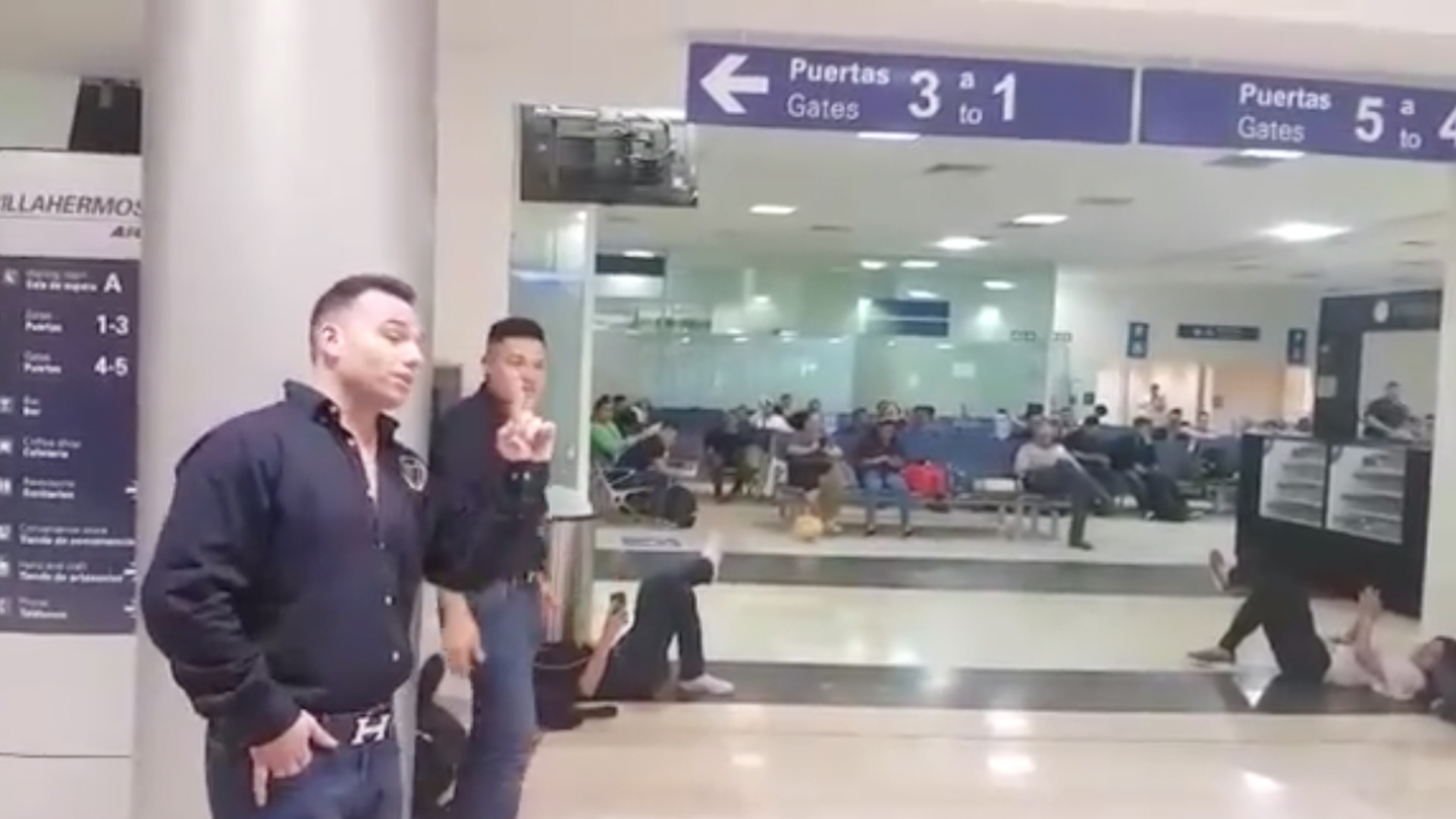 La treviñosa en el avión